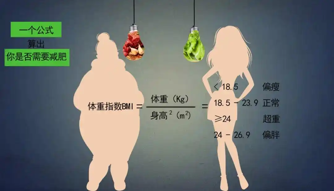 肥胖危机：为何国家开始关注你的体重？ - 第4张