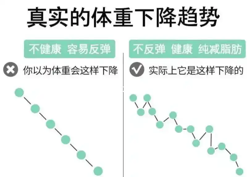 如何实现快乐减肥?5个秘密让你在自律与自爱间找到平衡 - 第4张 - Royal Cup 官方网站 如何实现快乐减肥?5个秘密让你在自律与自爱间找到平衡 - 第4张