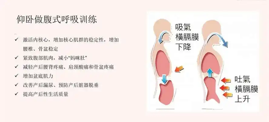 腹部脂肪太顽固?5个科学减肚腩方法,坚持2个月见证惊人变化! - 第5张 - Royal Cup 官方网站 腹部脂肪太顽固?5个科学减肚腩方法,坚持2个月见证惊人变化! - 第5张